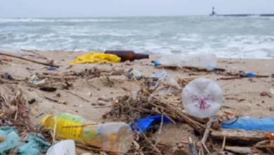 البلاستيك في سواحل تونس