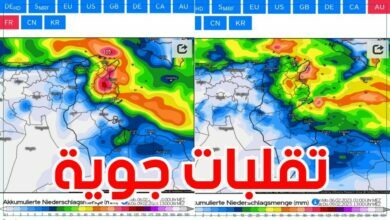 محرز الغنوشي : تقلبات جوية