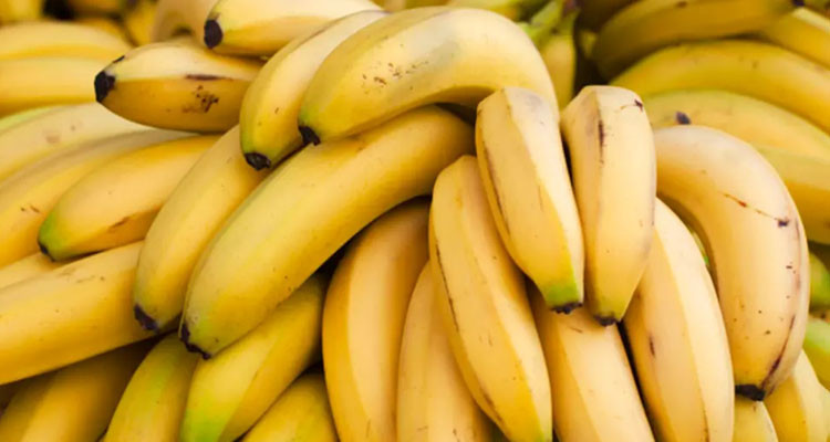 فقدان الموز من الأسواق