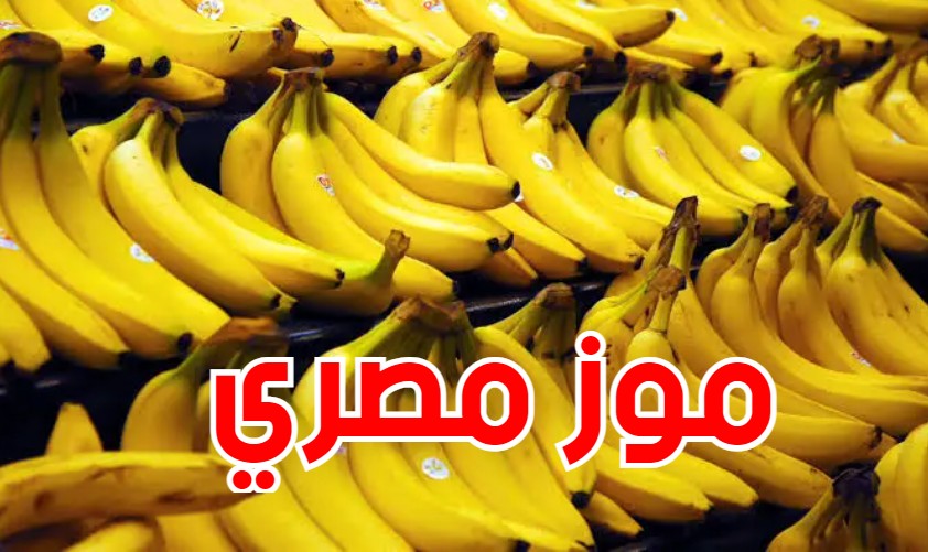 وصول الموز المصري لتونس