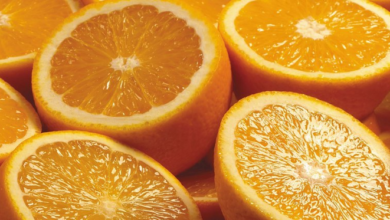 رجوع البرتقال المالطي لتونس