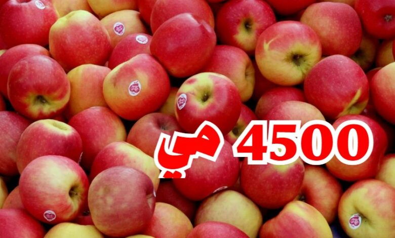 رفض تسعير التفاح