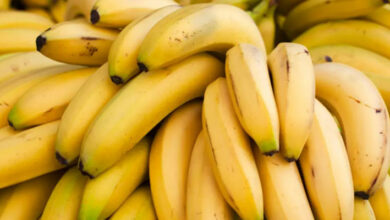 فقدان الموز من الأسواق