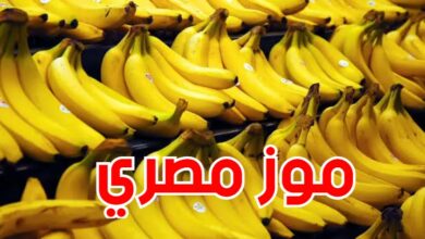 وصول الموز المصري لتونس