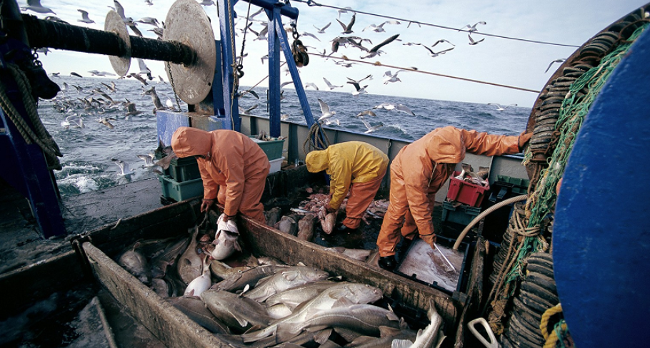 مكافحة الصيد البحري العشوائي