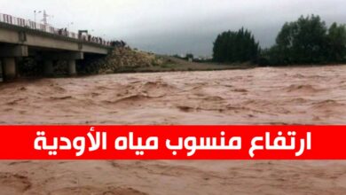 ارتفاع منسوب مياه الأودية