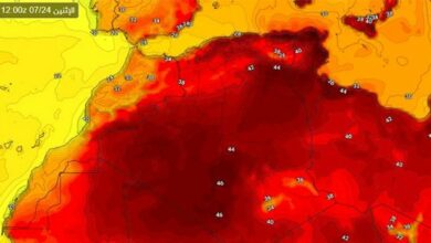 تونس تسجل 50 درجة