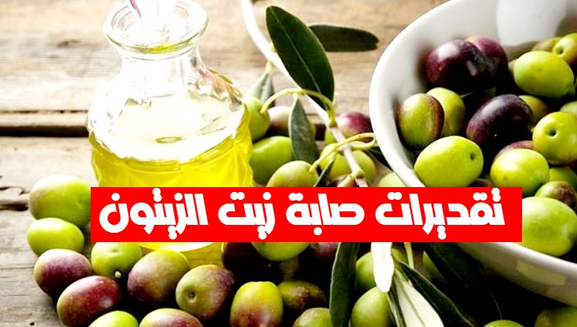 تقديرات صابة زيت الزيتون