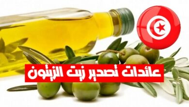 عائدات تصدير زيت الزيتون