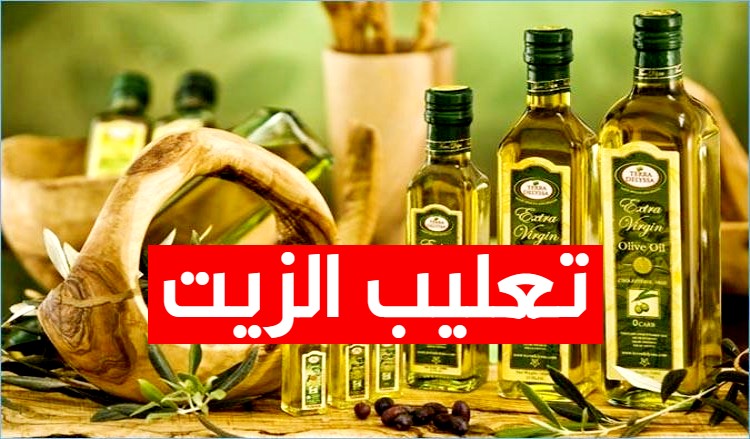 تصدير زيت الزيتون المعلب