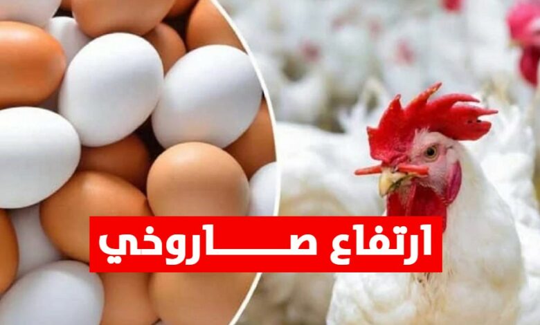 ارتفاع أسعار الدجاج والبيض