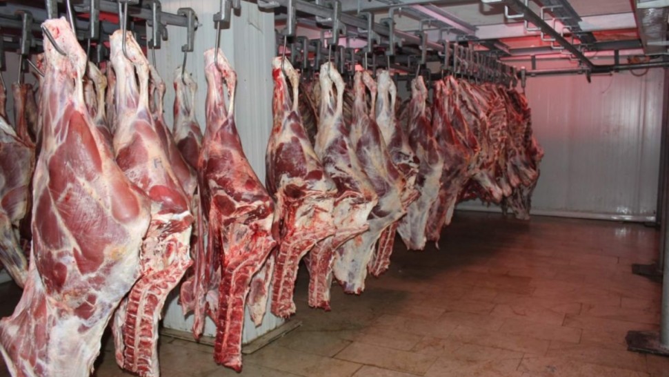انطلاق بيع اللحوم الموردة