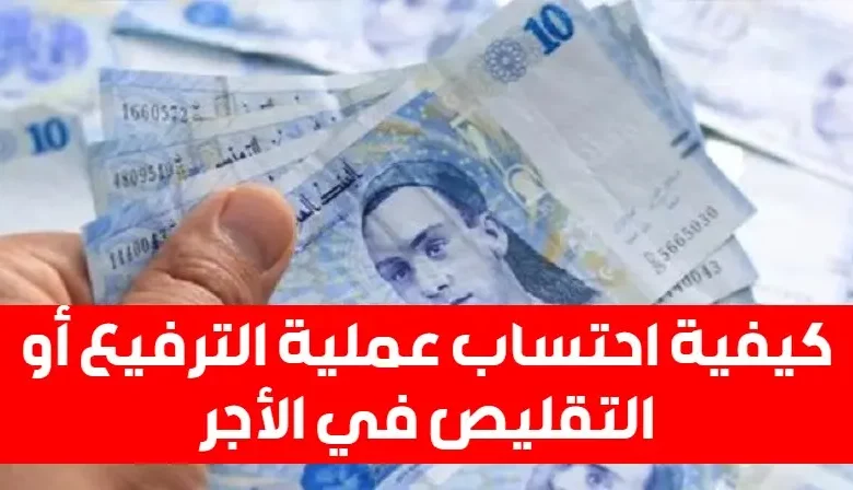 قانون المالية