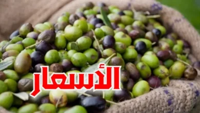 سوق الزيتون بقرمدة