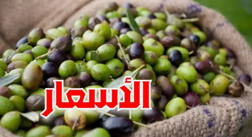 سوق الزيتون بقرمدة