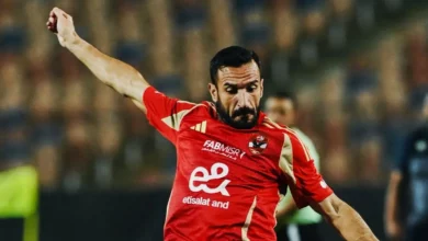 علي معلول