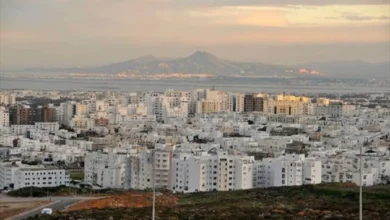 تعداد