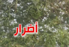 الأمطار