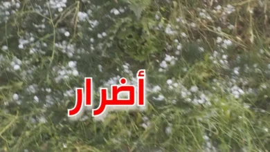 الأمطار