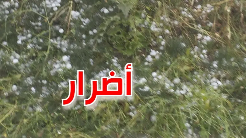 الأمطار