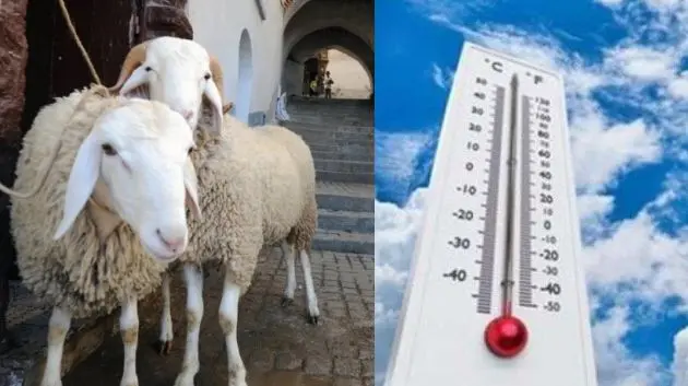 الطقس