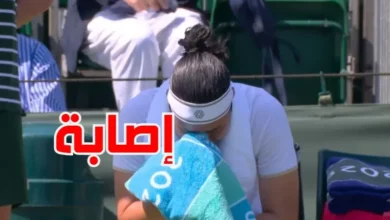 أنس جابر