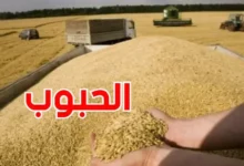 الحبوب