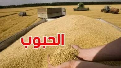 الحبوب