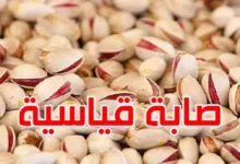 الفستق