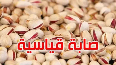 الفستق