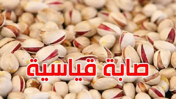 الفستق
