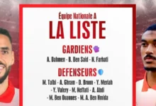 المنتخب التونسي
